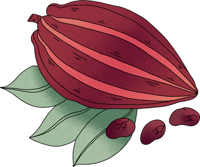 Cartoon Detailed Cacao